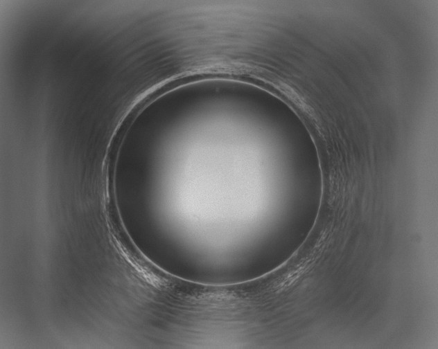 X0000076050838200610061508