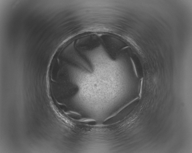 X0000076050840200610061508