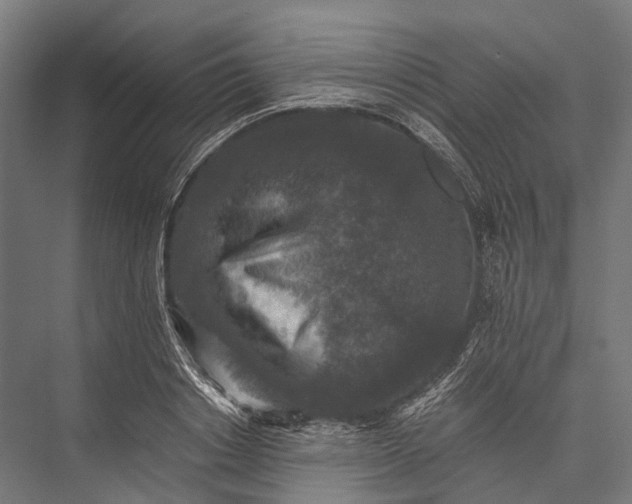 X0000076050842200610061508