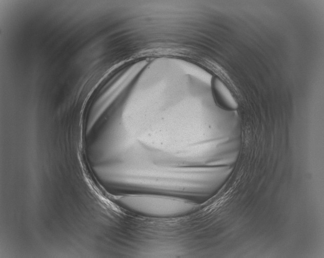 X0000076050844200610061508
