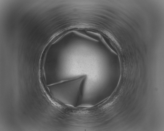 X0000076050845200610061508