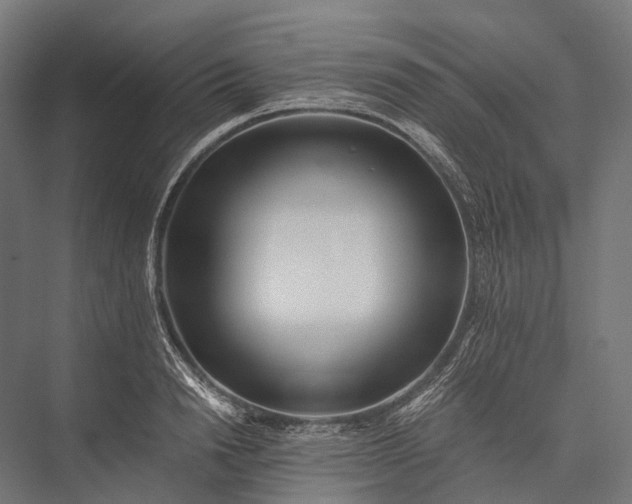 X0000076050846200610061508