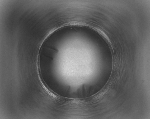 X0000076050847200610061508