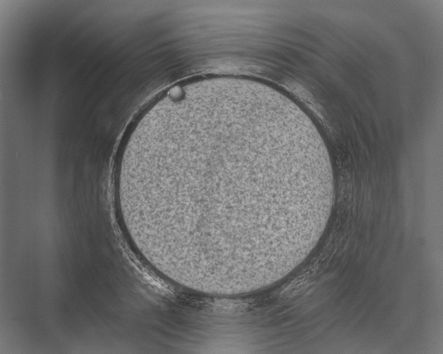 X0000076050848200610061508