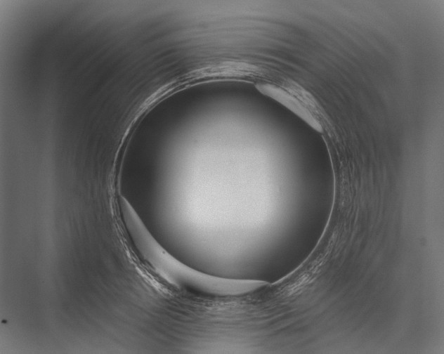 X0000076050850200610061508
