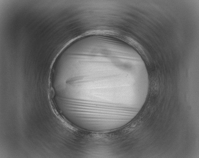 X0000076050852200610061508