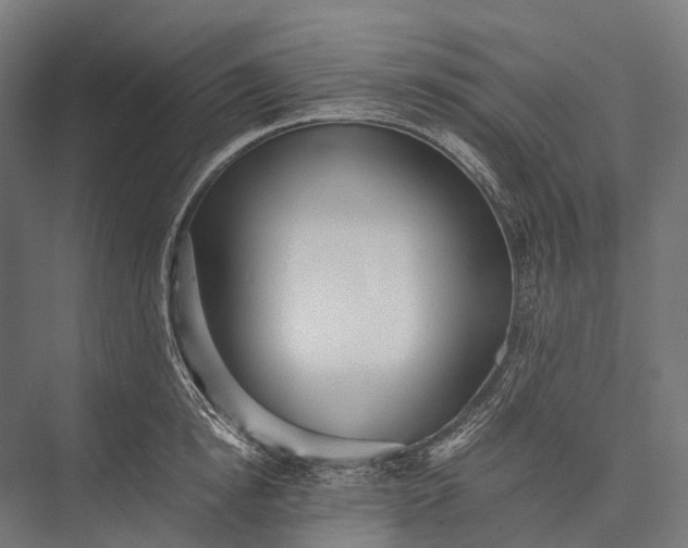 X0000076050854200610061508