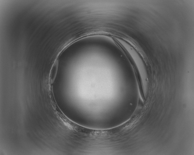 X0000076050858200610061508
