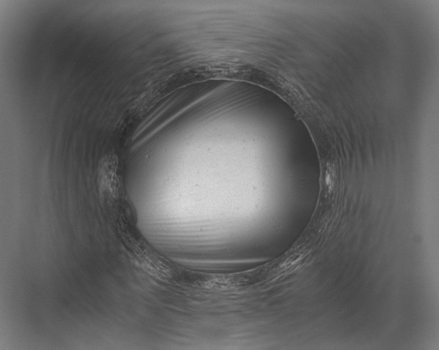 X0000076050867200610061507