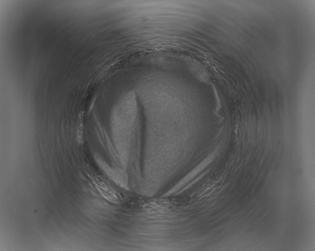 X0000076050868200610061507