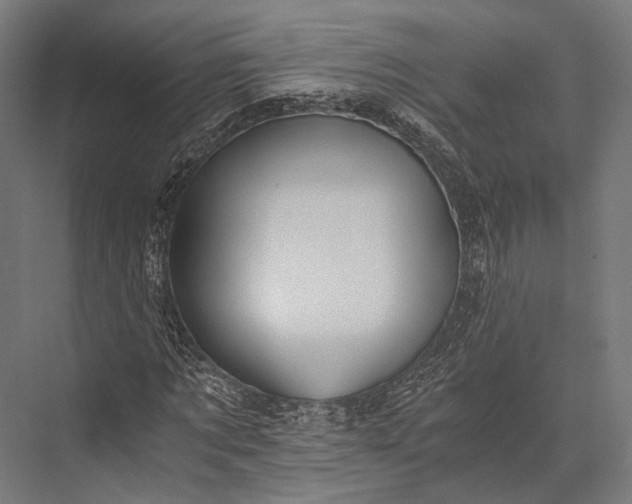 X0000076050869200610061507