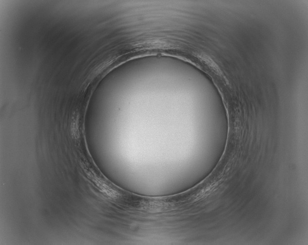 X0000076050873200610061507