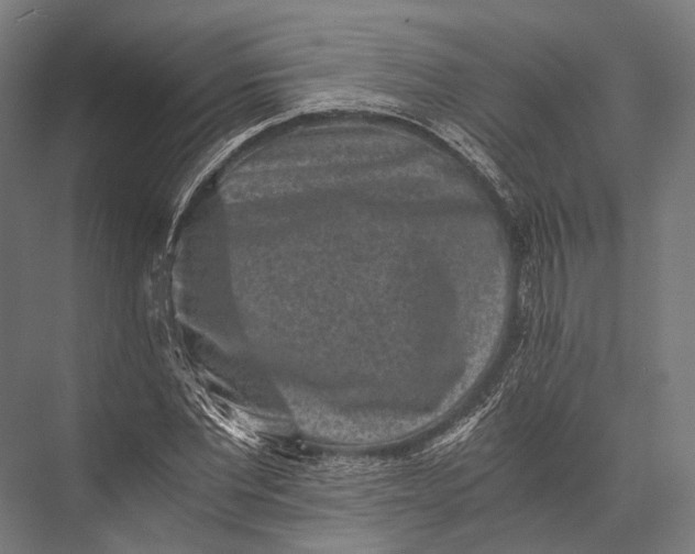X0000076050877200610061507