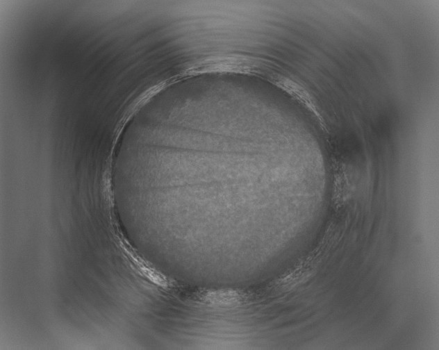 X0000076050882200610061507