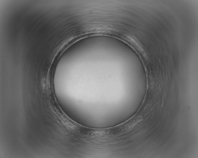 X0000076050883200610061507