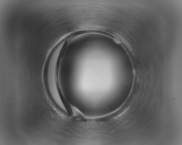 X0000076050885200610061507