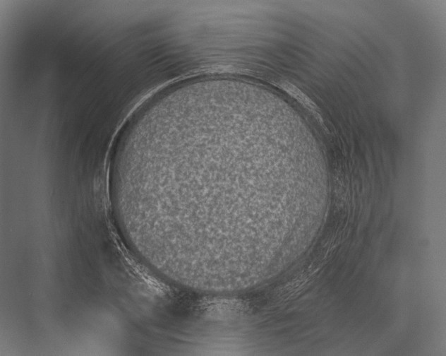 X0000076050886200610061507