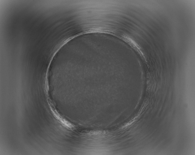 X0000076050892200610061507