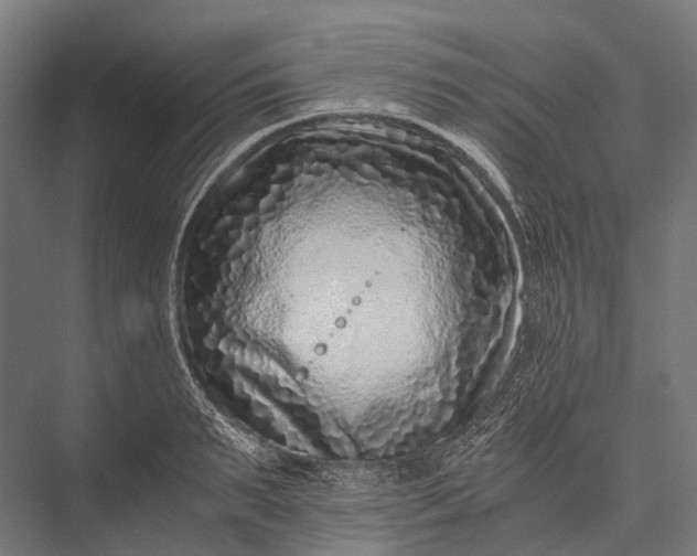 X0000076050895200610061507