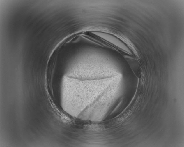 X0000076050896200610061507