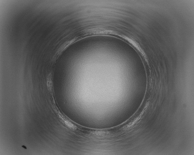 X0000076050897200610061507