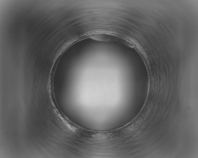 X0000076050898200610061507