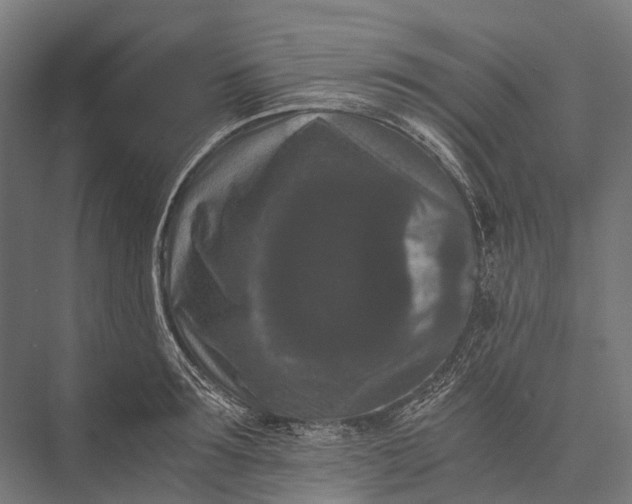 X0000076050899200610061507