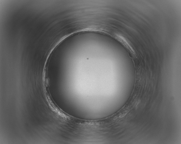 X0000076050900200610061507