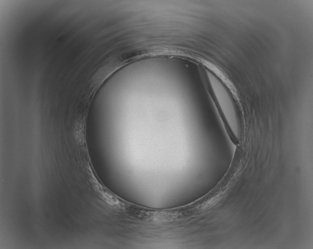X0000076050905200610061507