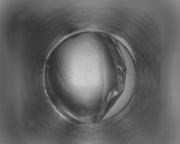 X0000076050910200610061507