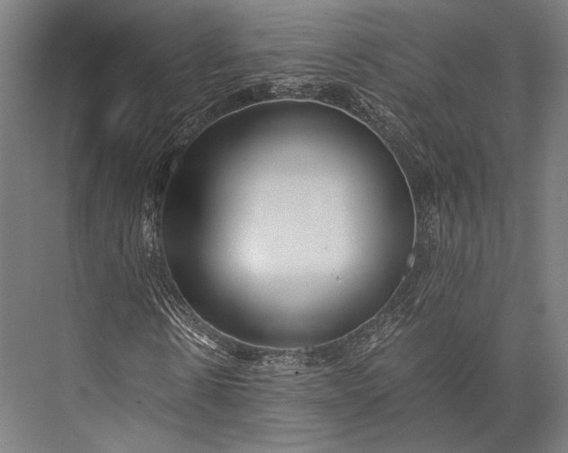 X0000076050914200610061506