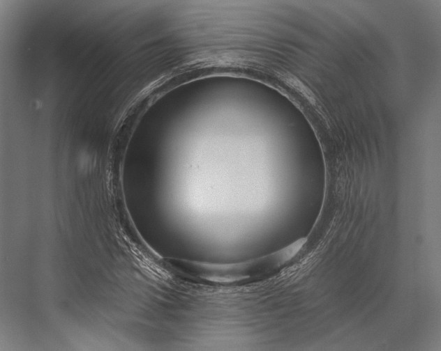 X0000076050922200610061506
