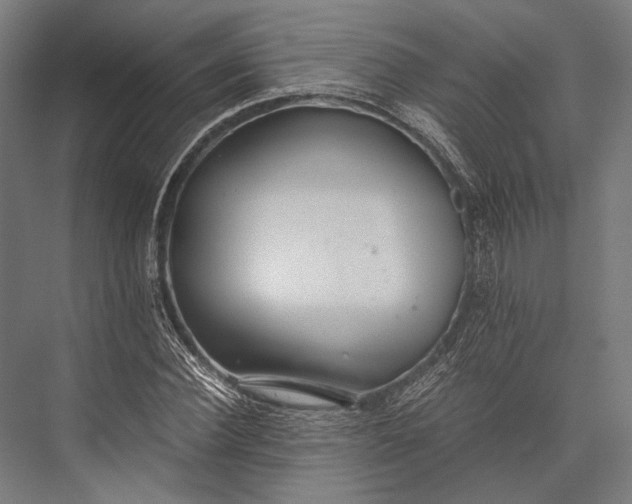 X0000076050924200610061506