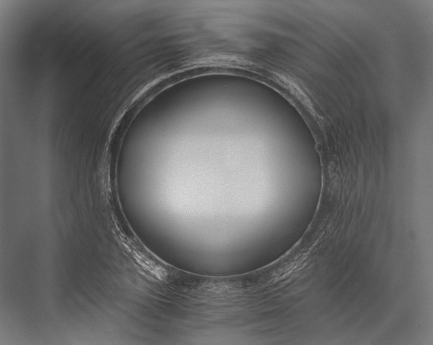 X0000076050931200610061506