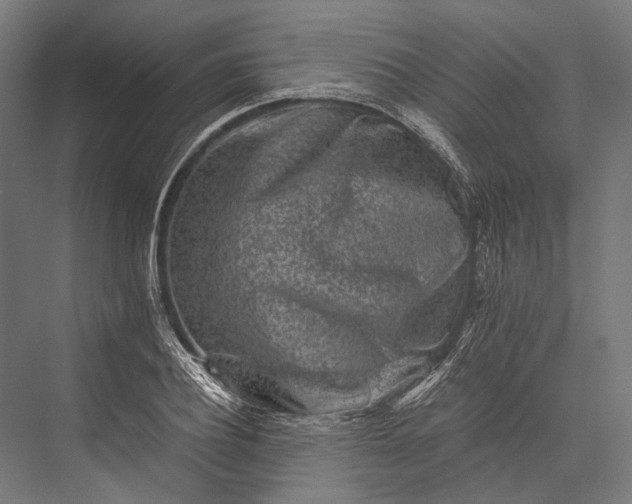 X0000076050932200610061506