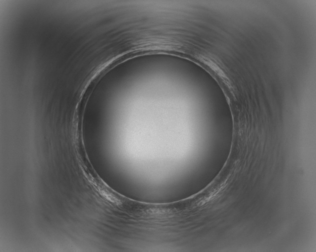 X0000076050933200610061506