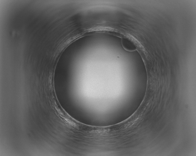 X0000076050937200610061506