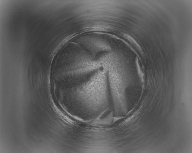 X0000076050938200610061506