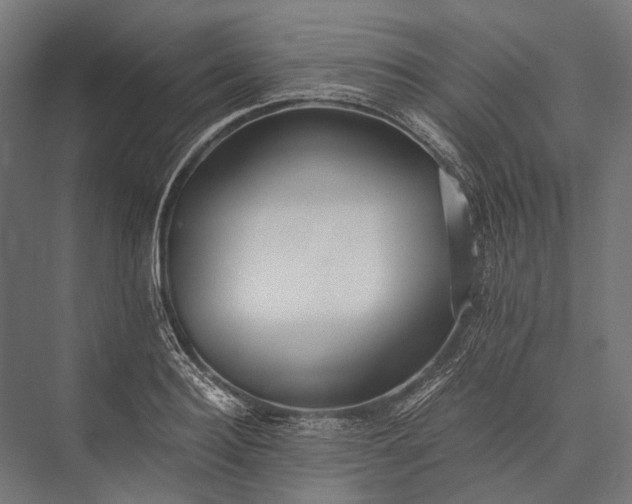 X0000076050940200610061506
