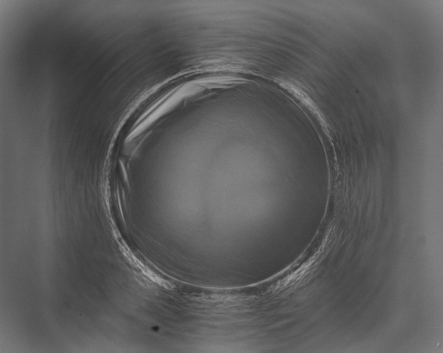 X0000076050941200610061506