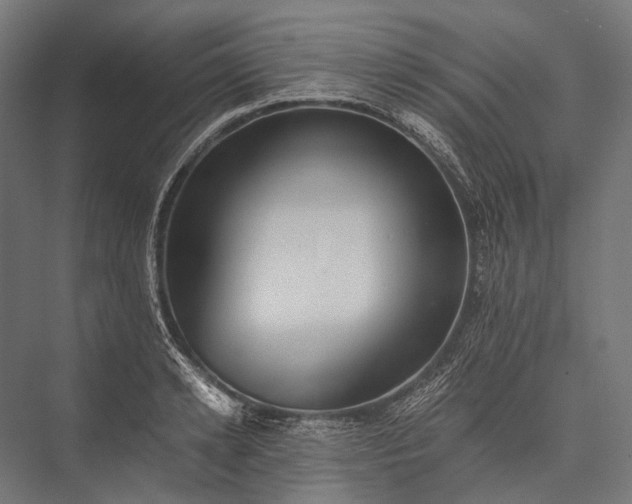 X0000076050942200610061506