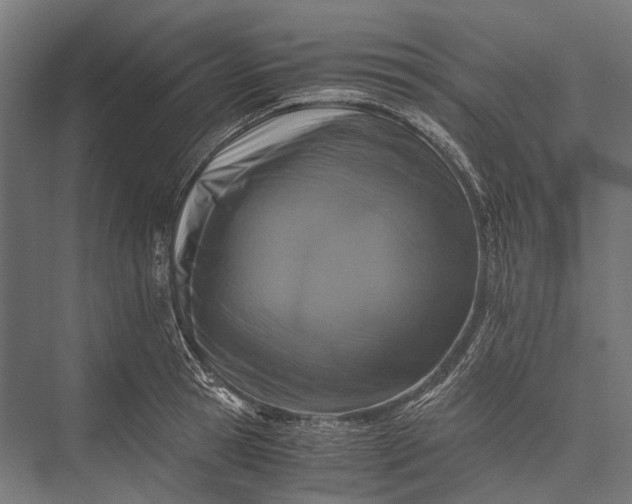X0000076050945200610061506