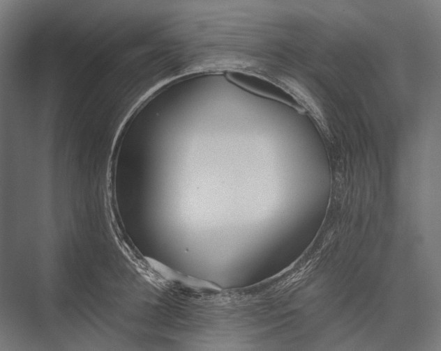X0000076050948200610061506