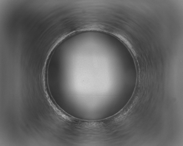 X0000076050949200610061506