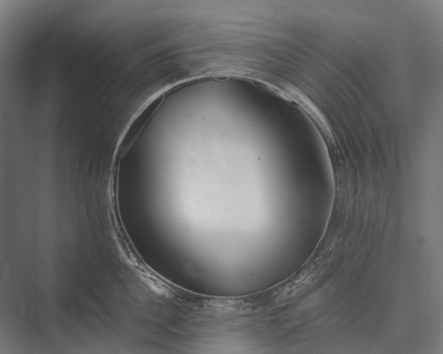 X0000076050956200610061507