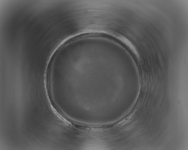 X0000076050958200610061507