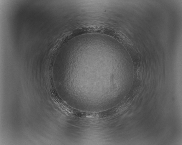 X0000076050961200610061506