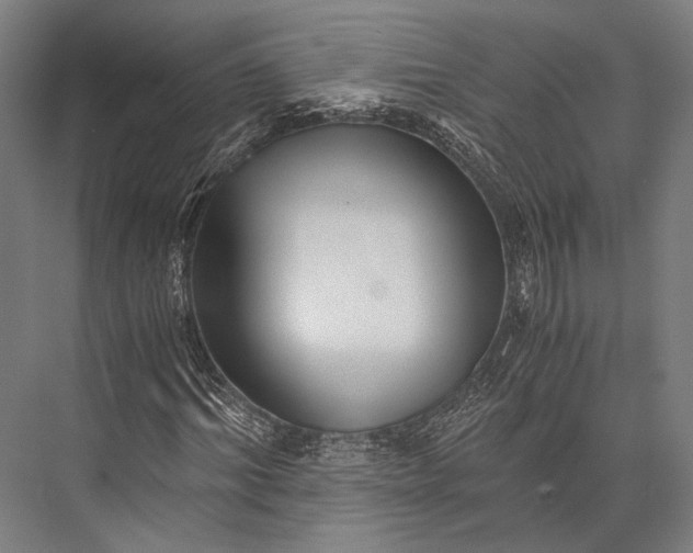 X0000076050964200610061506