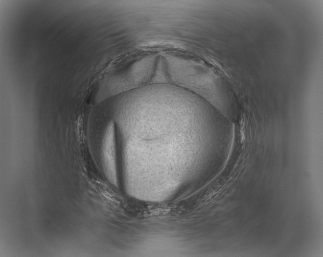 X0000076050965200610061506
