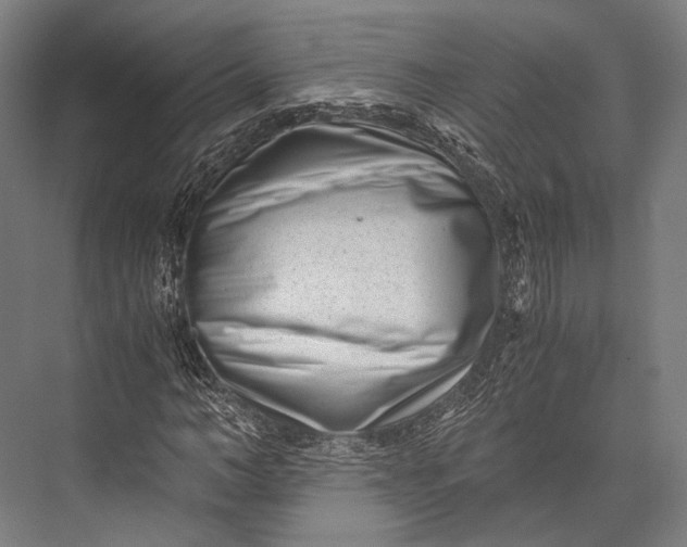 X0000076050966200610061506